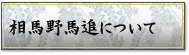 相馬野馬追について